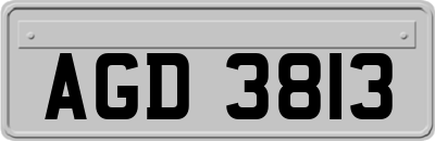 AGD3813