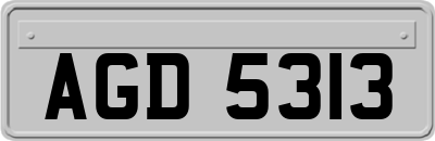 AGD5313