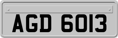 AGD6013