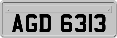 AGD6313