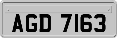 AGD7163