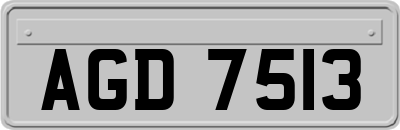 AGD7513