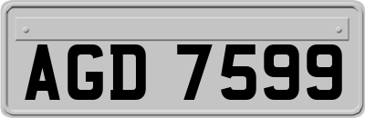 AGD7599
