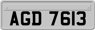 AGD7613