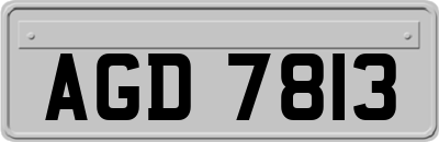 AGD7813