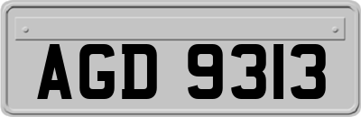 AGD9313