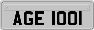 AGE1001