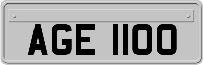 AGE1100