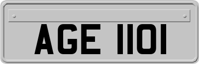 AGE1101
