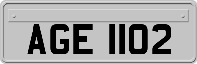 AGE1102