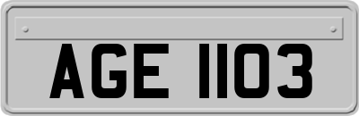 AGE1103