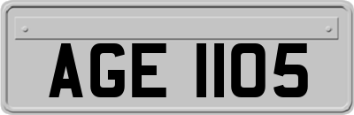 AGE1105