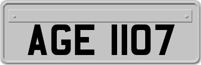 AGE1107