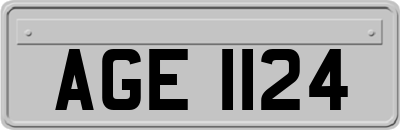 AGE1124