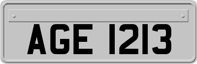 AGE1213
