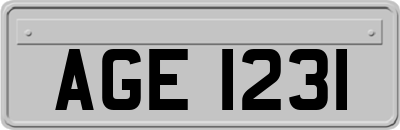 AGE1231