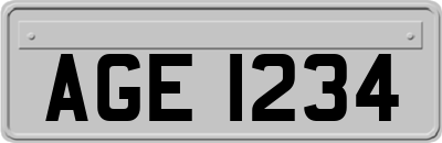 AGE1234