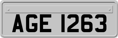 AGE1263