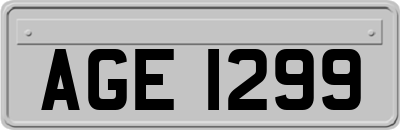 AGE1299