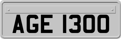 AGE1300
