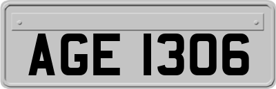 AGE1306