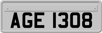AGE1308