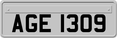 AGE1309