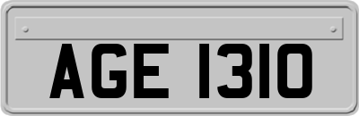 AGE1310