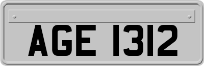 AGE1312