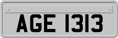 AGE1313
