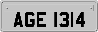 AGE1314