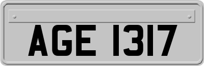AGE1317