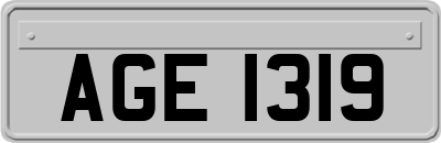 AGE1319