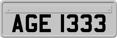 AGE1333