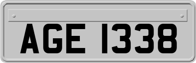 AGE1338