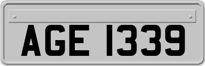 AGE1339