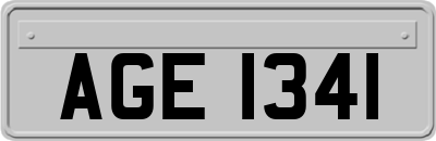 AGE1341