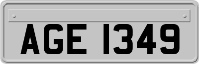 AGE1349