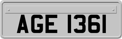 AGE1361