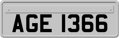 AGE1366