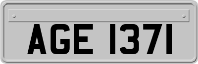 AGE1371