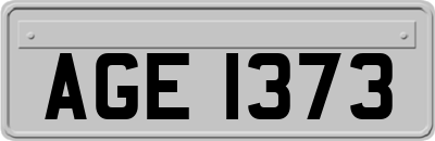 AGE1373