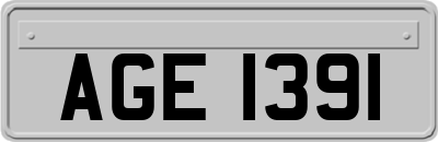 AGE1391