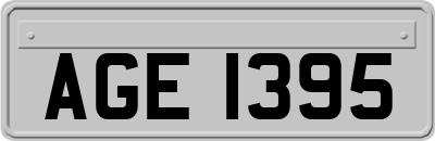 AGE1395