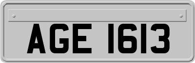 AGE1613