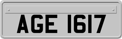AGE1617
