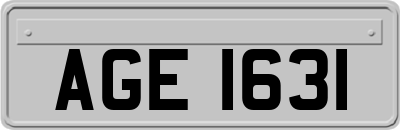 AGE1631