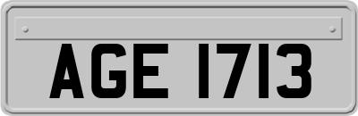 AGE1713