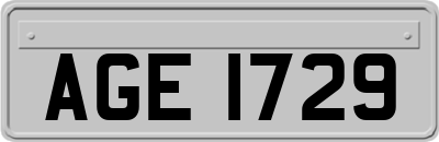 AGE1729