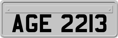 AGE2213